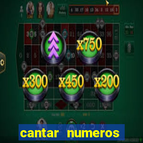 cantar numeros bingo online